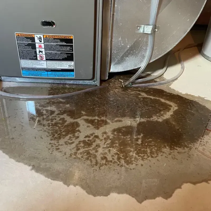 Appliance Leak Cleanup in Manning, ND